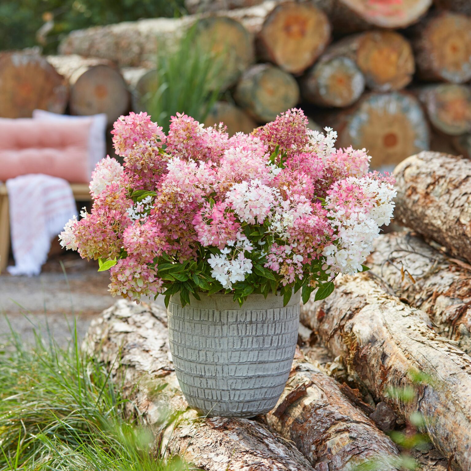 Граундбрейкер